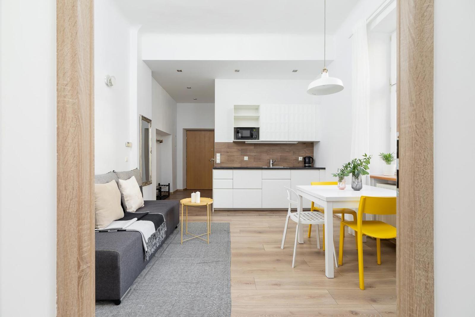 Apartment 1 Bedroom - Ludwika Zamenhofa 6 Street *